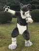 Youthful Cool Fursuits Set - Complete Costume for Cosplay and Events